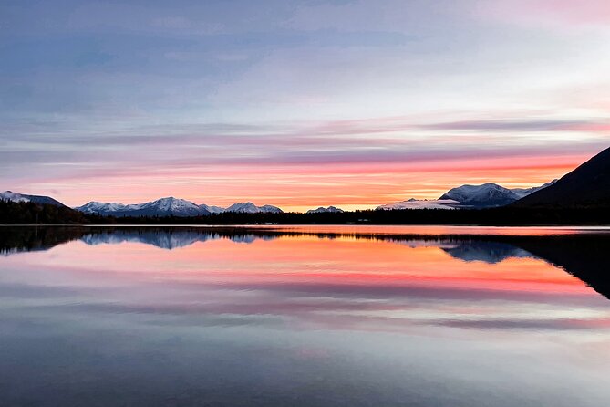Anchorage to Seward- Pre-Cruise Curated Wildlife Tour +Transfer - Wildlife Sightings and Encounters
