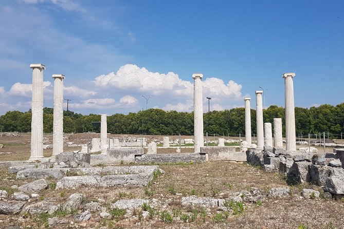 Ancient Macedonia Tour (Pella & Vergina) Review - Traveler Reviews