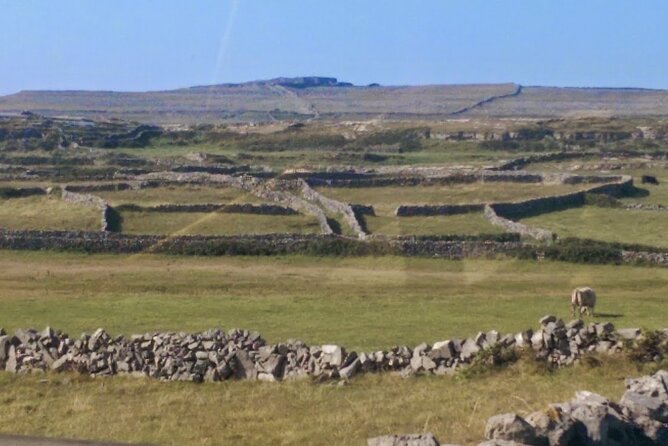 Aran Islands & Cliffs of Moher Cruise Full Day Tour From Galway - Exploring the Aran Islands
