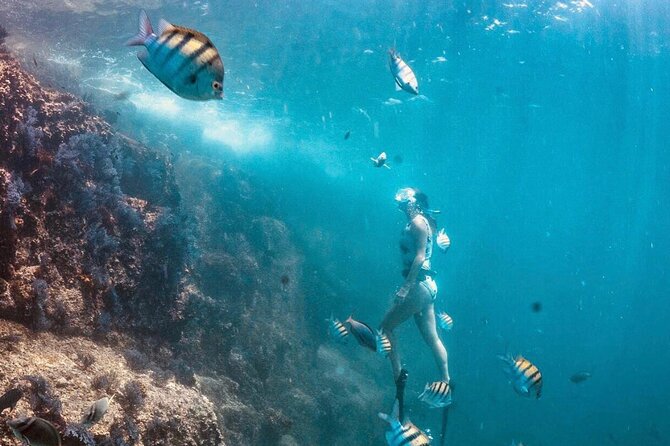 Arch Boat Tour and Snorkeling at Pelican Rock - Customer Reviews Summary