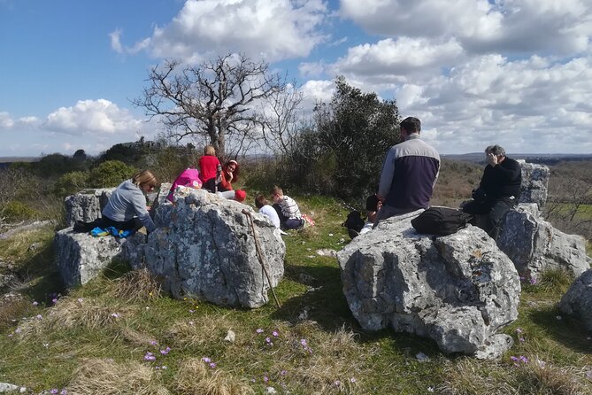 Archaeological Tour Near Poreč - Transportation Options