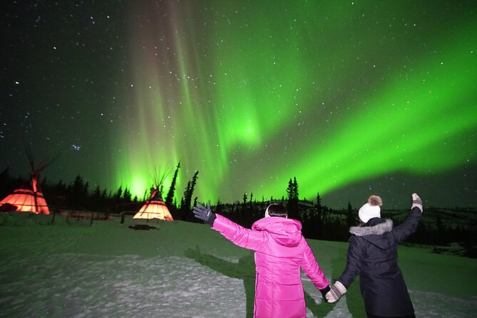 Arctic Day: Aurora Viewing Tour | Late Night - Recommendations and Tips