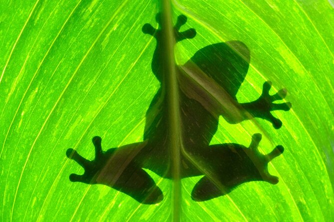 Arenal Sloths Lovers & Baldi Hot Springs. Private Tour - Reviews and Ratings