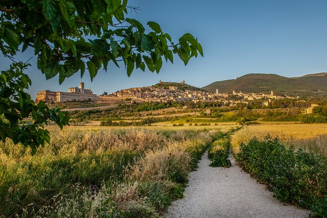 Assisi: 3-Hours Tour Including St. Francis Basilica Tickets - Tour Reviews and Ratings