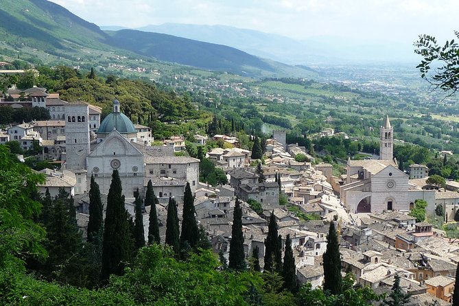 Assisi, Deruta & Organic Gourmet Lunch at the Olive Oil Farmhouse From SIENA - Tour Itinerary and Details