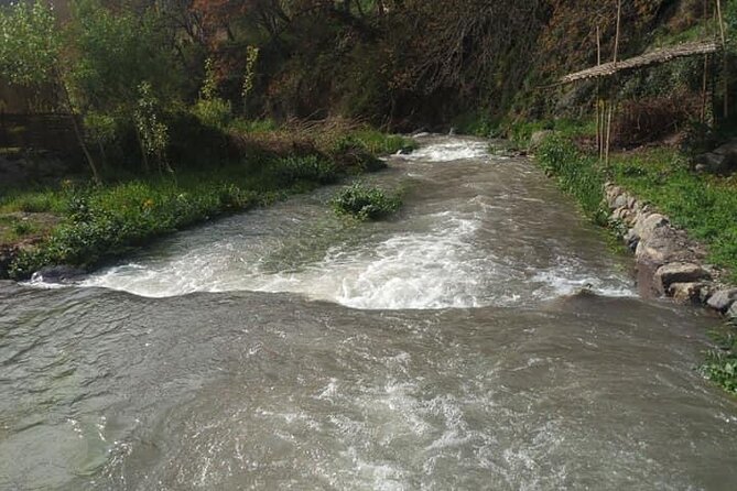 Atlas Mountains Ourika Valley Guided Tour - Booking Information