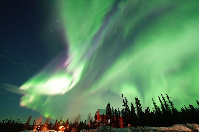 Aurora Camp(极光营地)-Best Alaskan Cabin Aurora Viewing W/Photography - Guest Experiences and Reviews