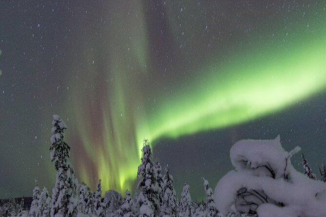 Aurora Sleighers Snowmobile Tour in Fairbanks - Tour Highlights and Features