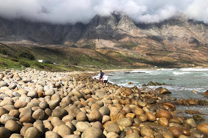 Authentic Cape Town Tour - Customer Reviews
