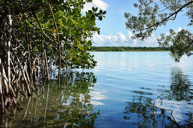 Bacalar Seven Color Lagoon and Kayak Adventure From Costa Maya - Meeting and Pickup