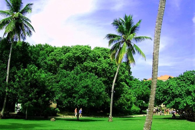Bacardi Island (Cayo Levantado) Day Pass - What to Expect