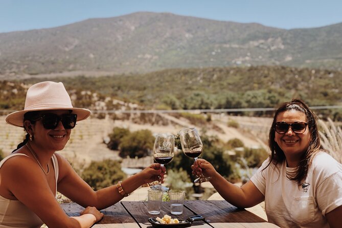 Baja Tour Guide Wine Tour - Accessibility and Recommendations