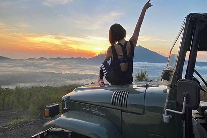 Bali Private Tour With English Speaking Driver Tour Guide - Pickup and Drop-off Locations