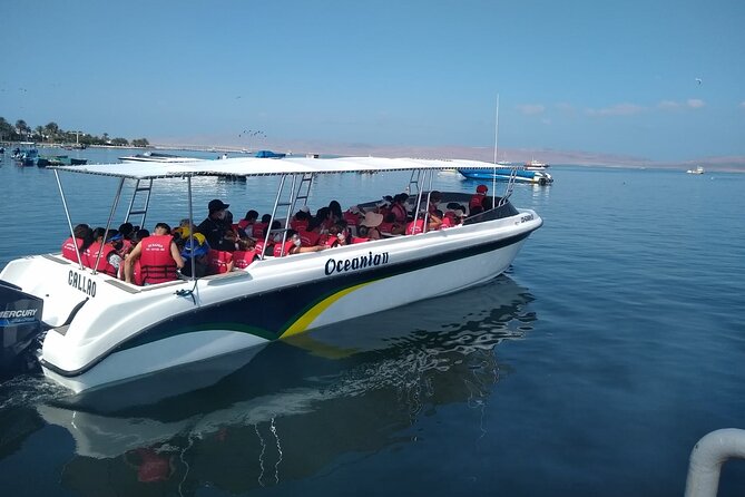Ballestas Islands Tour for Passengers of the Puerto San Martin Cruise - Highlights of the Ballestas Islands