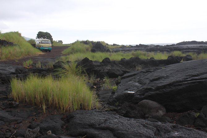 Banana Trip - Full Day Private Tour to Pico With Round Trip From Faial - Exploring Pico Island