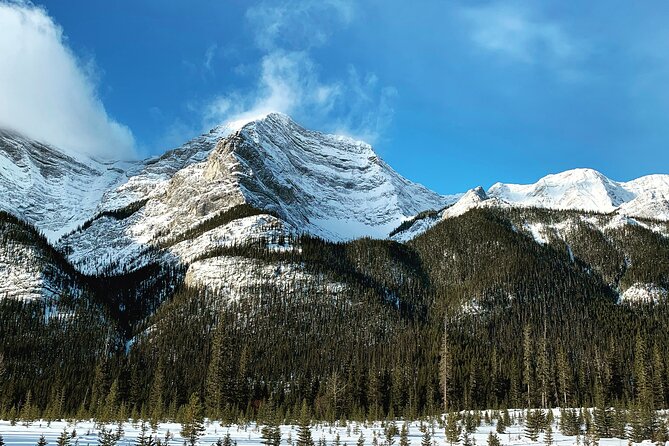 Banff: Banff National Park - Nature Walk 2hrs - Guest Reviews