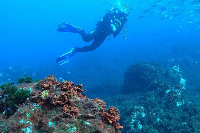 Baptism of Scuba Diving in a Shipwreck on Terceira Island - Whats Included in the Package