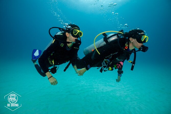 Basic Diver - Baptism - Tour Type and Group Information