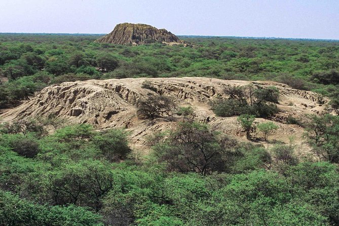 Batan Grande Archeological Site and Sicán National Museum Tour From Chiclayo - Excavation Discoveries