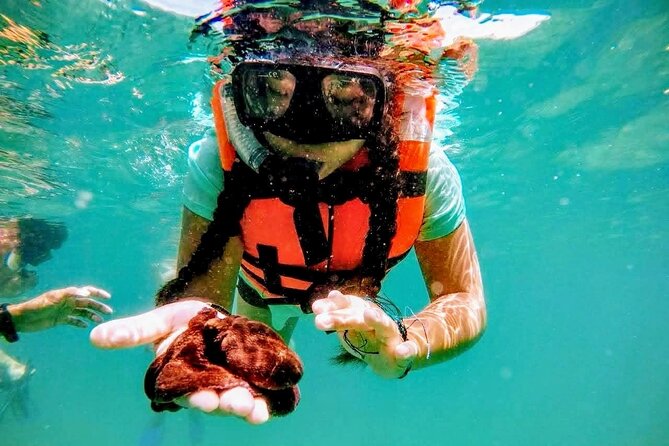 Beach Breake Experience & Snorkeling Different Options &City Tour - Pricing and Cancellation