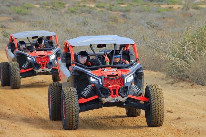 Beach & Desert Premium RC UTV Tour in Cabo (Price per Person) - Pricing and Payment Options