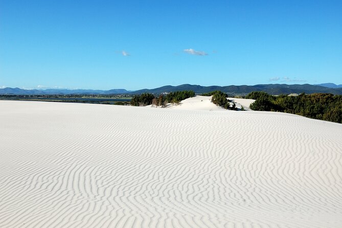 Beach Tour Porto Pino and Piscinnì - Cancellation Policy