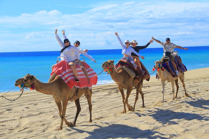 Beach UTV & Camel Ride COMBO in Cabo by Cactus Tours Park - Customer Feedback and Issues