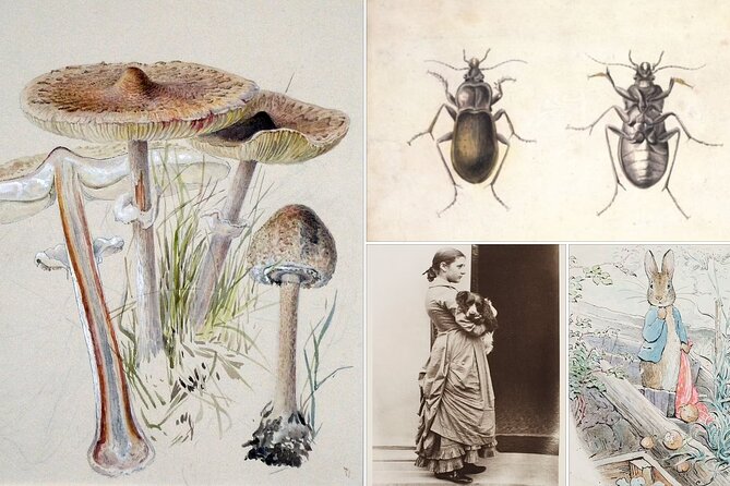 Beatrix Potter - Half Day - Up to 8 People - Explore Beatrix Potters World