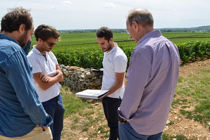Beaune Small-Group Wine Tasting and Vineyard Tour, Plus Lunch - Winemaking Education and Insights