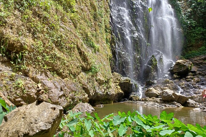 Beautiful Forest Hike to a Gorgeous Waterfall - Booking Information