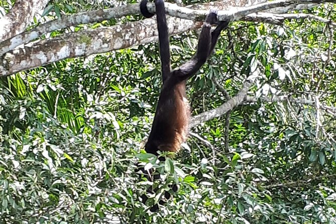 Beautiful Panama Canal Lake Nature Sightseeing - Exploring Gatun Lake