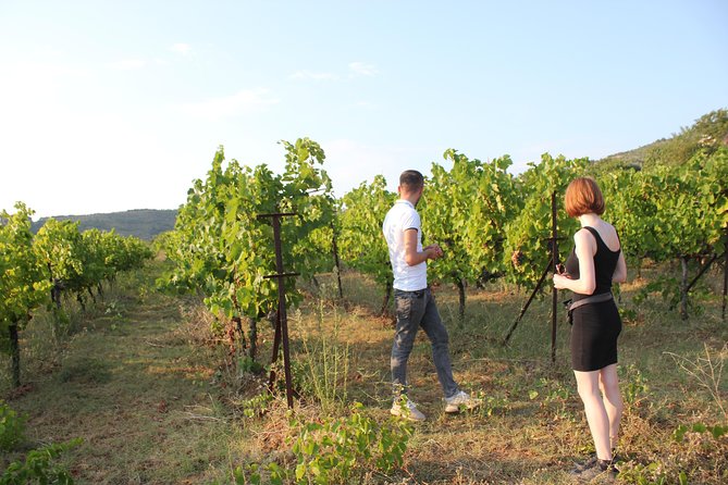 Berat Wine Tour Guided Winery Tour With Transfers and Tastings - Additional Information