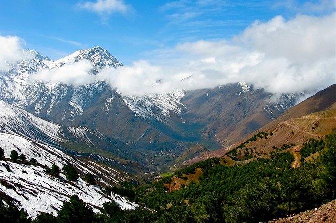 Berber Life Experience in the Atlas Mountains From Marrakech - Optional Camel and Mule Rides