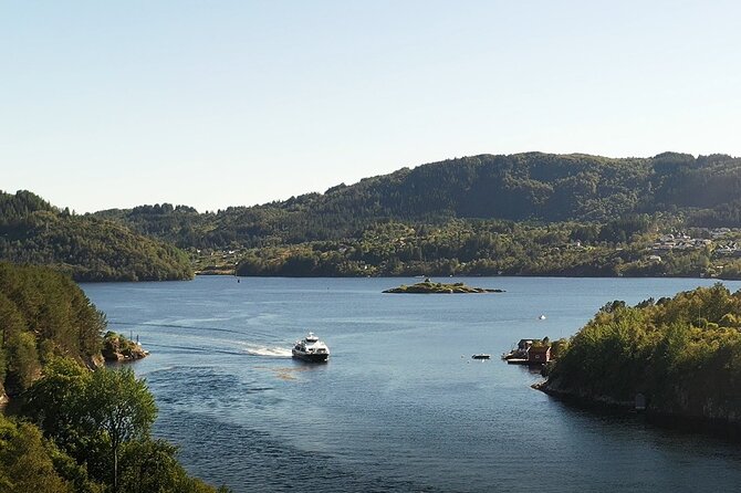Bergen Fjord Cruise to Alversund Streams - All Year - Traveler Experiences