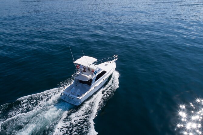 Bertram 38 Convertible Boat in Puerto & Nuevo Vallarta - Important Considerations and Guidelines