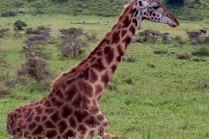 Best 3 Days Sharing Safari : Serengeti & Ngorongoro /2025 - Packing and Preparations