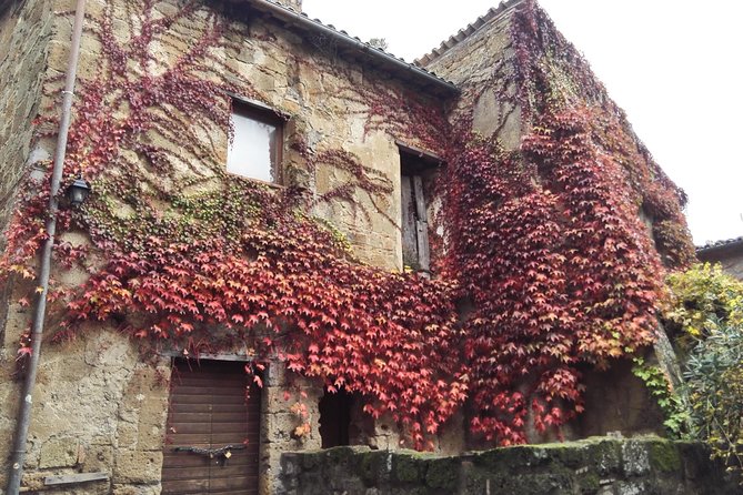 Best Of Civitavecchia Shore Tour: Orvieto & Civita Di Bagnoregio Tour - Customer Reviews and Feedback