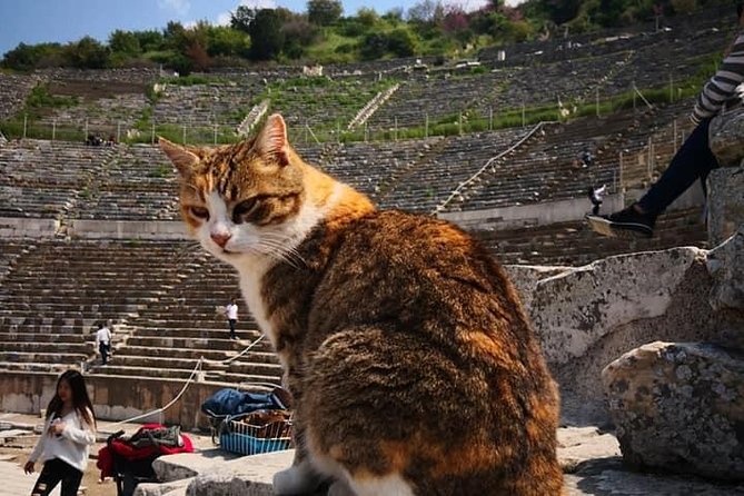 Best of Ephesus Tour - Tour Highlights and Attractions
