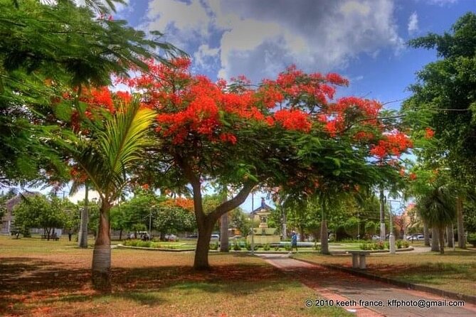 Best of St. Kitts Private Half Day Tour - Accessibility and Additional Info