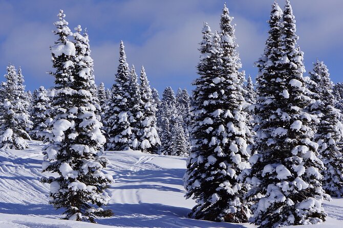 Beyond Yellowstone (Winter) - West Yellowstone Area Private Excursion - Reviews