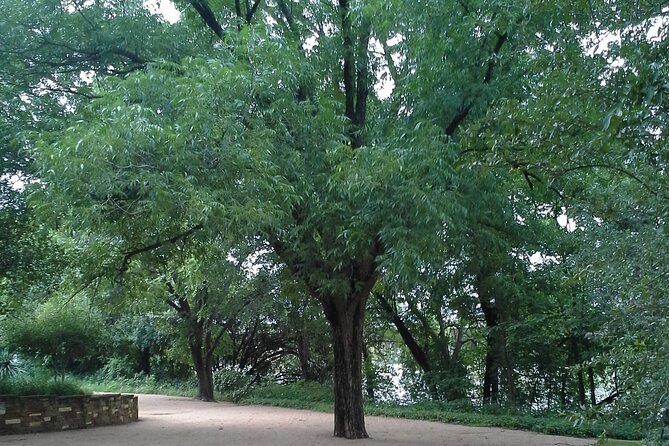 Bikes and BBQ Tour in Austin - Navigating the Tour Logistics