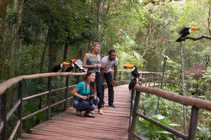 Bird Park & Iguassu Brazilian Side From Puerto Iguazú Hotels - Private Tour - Guest Feedback