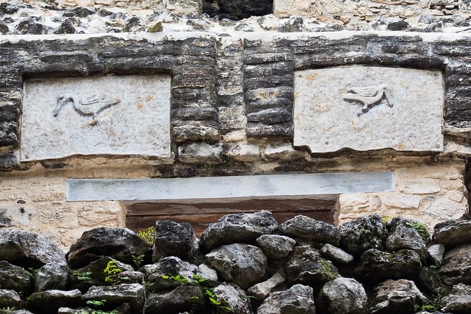 Bird Watching in Sian Ka'an and Muyil Archaeological Site - Traveler Experiences and Feedback