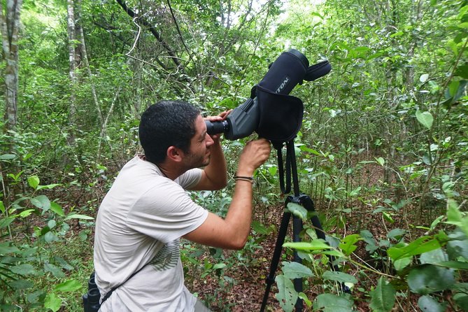 Birdwatching in Sian Ka'An and Muyil Archaeological Site From Tulum - Health and Safety Considerations