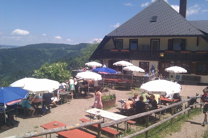 Black Forest Tour by Car: Baden-Baden to Freiburg or Vice Versa - Taking in the Regions Rich History