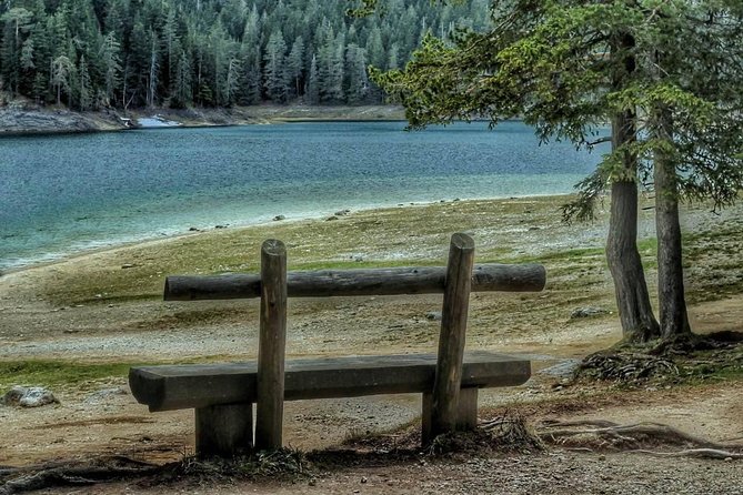 Black Lake and Djurdjevica Tara Bridge (Private Tour) - Pricing and Cancellation