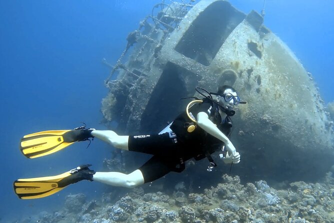 Boat Dive 2 Guided Dives With Lunch Included Wreck Dive&Reef Dive - Accessibility Features