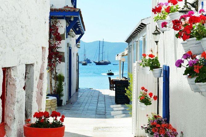 Bodrum Shore Excursion: Private Bodrum Express Sightseeing Tour - Traveler Reviews and Ratings