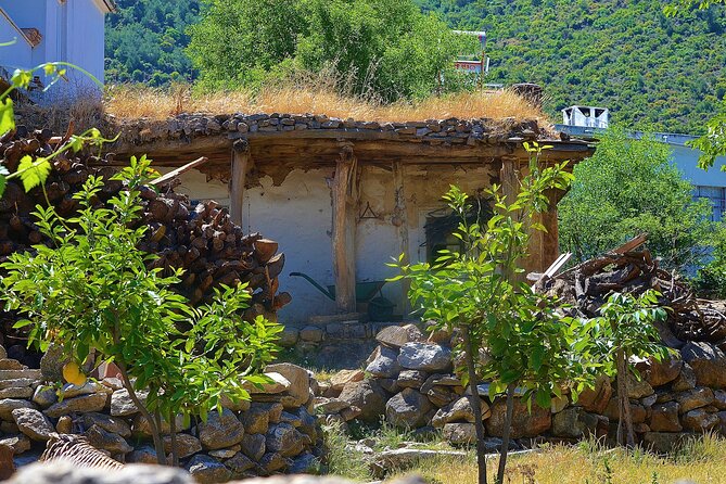 Bodrum Village Tour With Group - Accessibility
