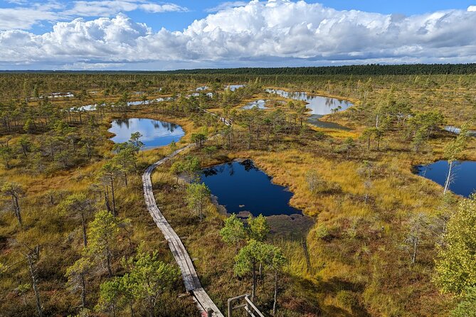 Bogs and Resorts in Jūrmala - Activities and Attractions